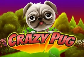 Crazy Pug