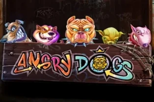Angry Dogs